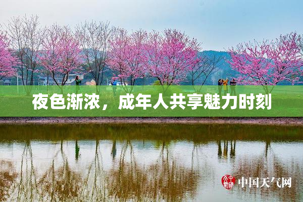 夜色渐浓，成年人共享魅力时刻