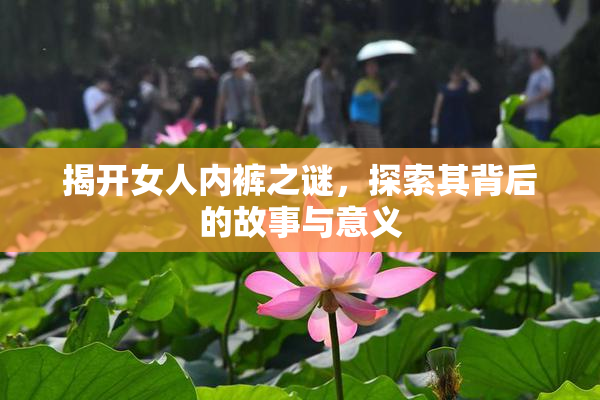 揭开女人内裤之谜，探索其背后的故事与意义