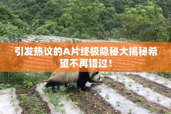 引发热议的A片终极隐秘大揭秘希望不再错过！
