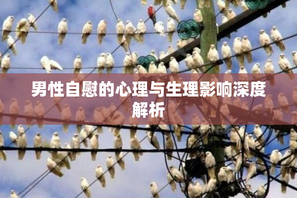 男性自慰的心理与生理影响深度解析