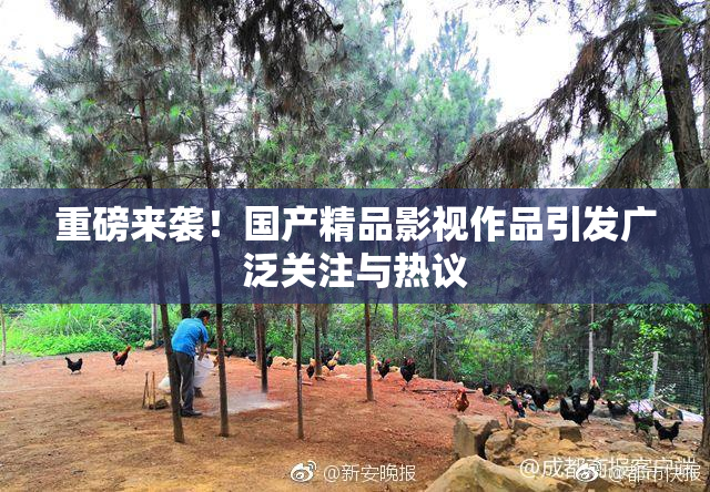 重磅来袭！国产精品影视作品引发广泛关注与热议
