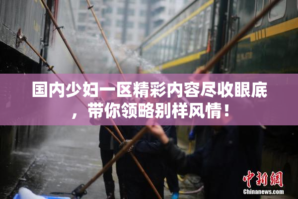 国内少妇一区精彩内容尽收眼底，带你领略别样风情！