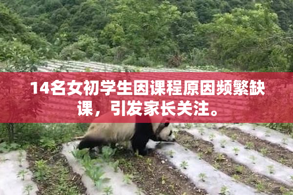 14名女初学生因课程原因频繁缺课，引发家长关注。
