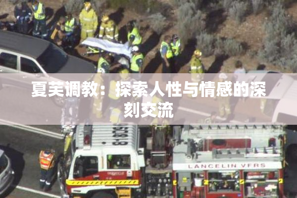 夏芙调教：探索人性与情感的深刻交流