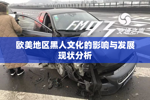 欧美地区黑人文化的影响与发展现状分析