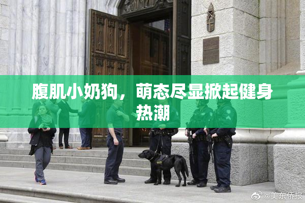 腹肌小奶狗，萌态尽显掀起健身热潮