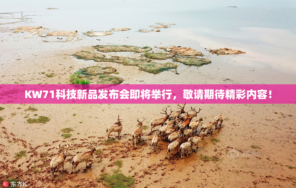 KW71科技新品发布会即将举行，敬请期待精彩内容！