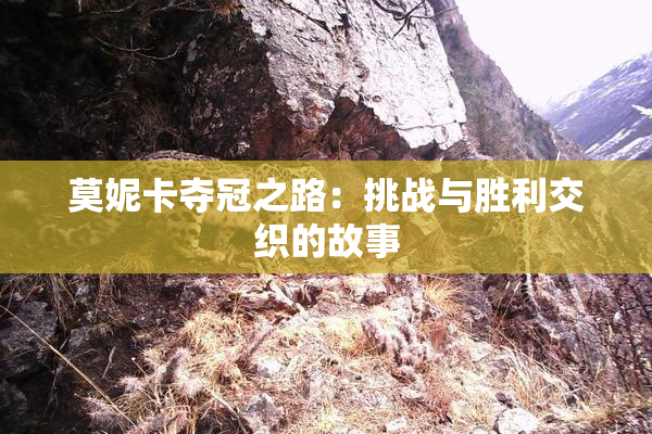 莫妮卡夺冠之路：挑战与胜利交织的故事