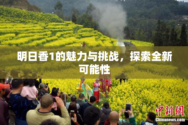明日香1的魅力与挑战，探索全新可能性
