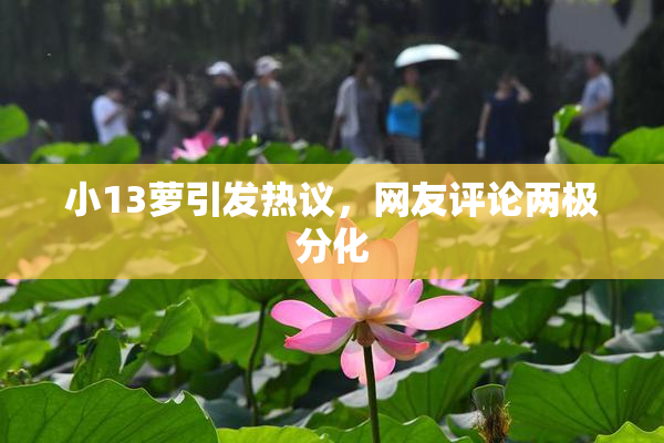 小13萝引发热议，网友评论两极分化