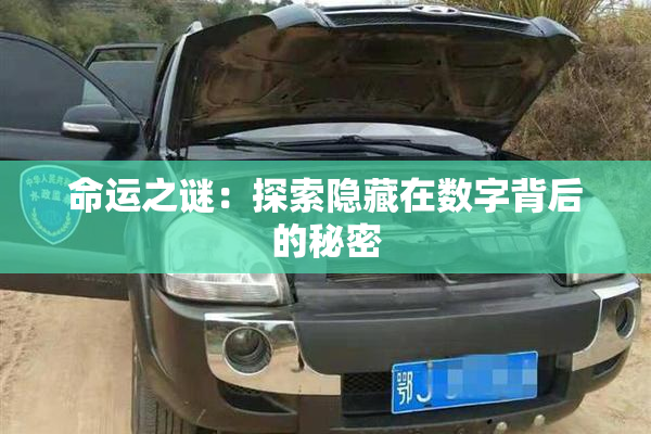 命运之谜：探索隐藏在数字背后的秘密