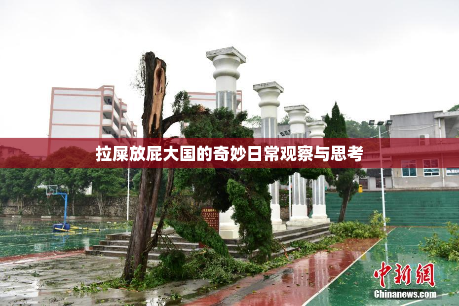 拉屎放屁大国的奇妙日常观察与思考