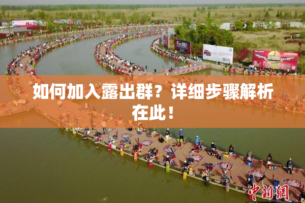 如何加入露出群？详细步骤解析在此！