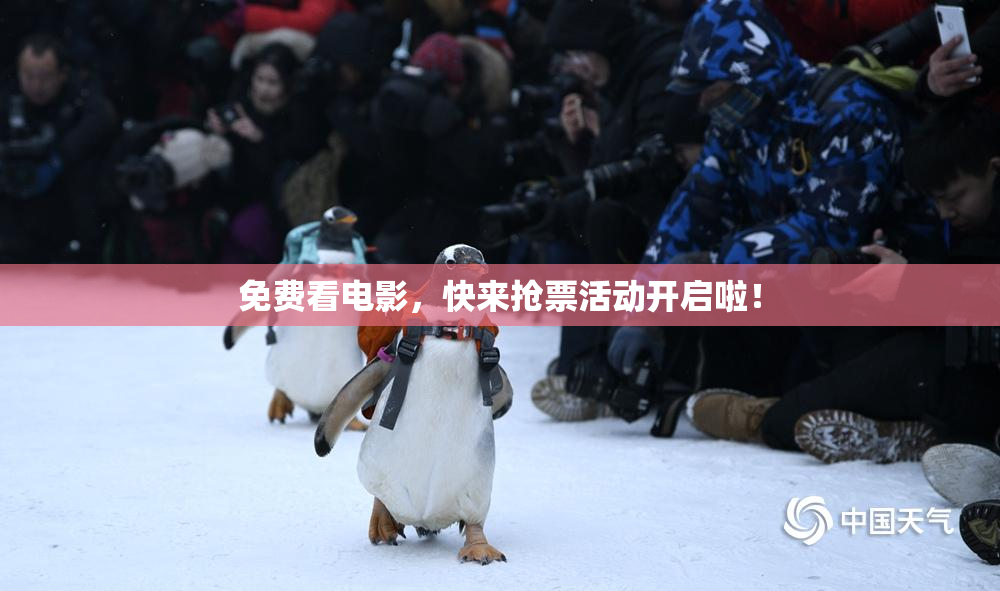 免费看电影，快来抢票活动开启啦！