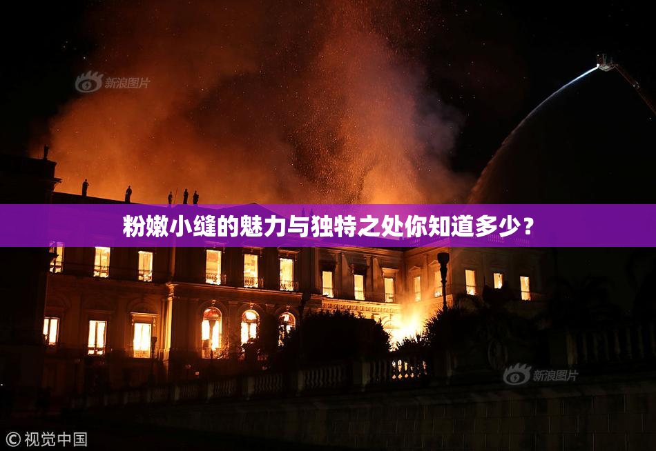 粉嫩小缝的魅力与独特之处你知道多少？