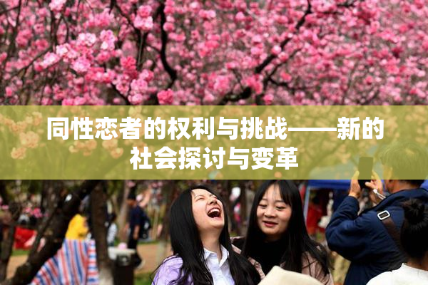 同性恋者的权利与挑战——新的社会探讨与变革