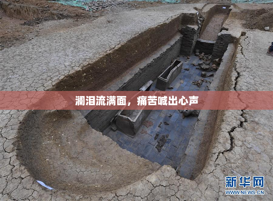 澜泪流满面，痛苦喊出心声