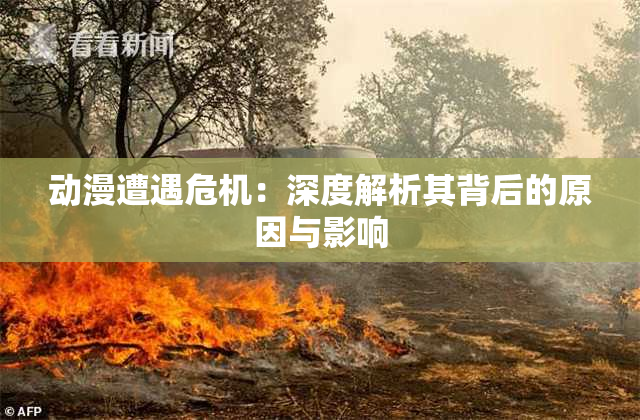 动漫遭遇危机：深度解析其背后的原因与影响