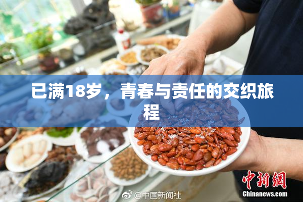 已满18岁，青春与责任的交织旅程