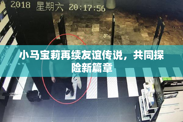 小马宝莉再续友谊传说，共同探险新篇章