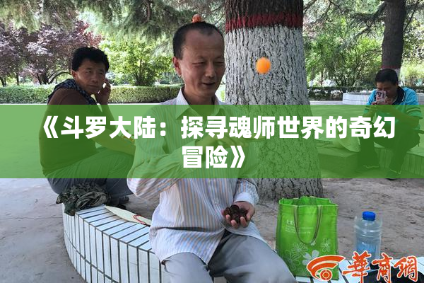 《斗罗大陆：探寻魂师世界的奇幻冒险》
