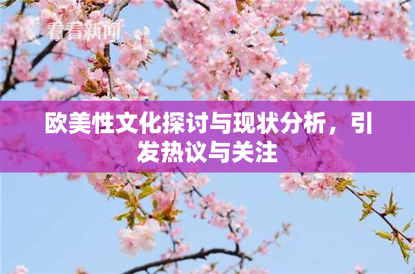 欧美性文化探讨与现状分析，引发热议与关注