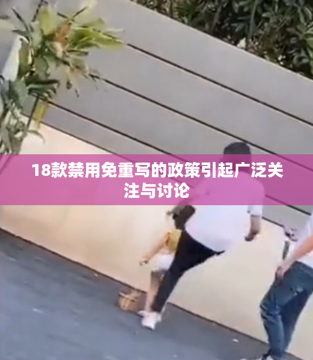18款禁用免重写的政策引起广泛关注与讨论
