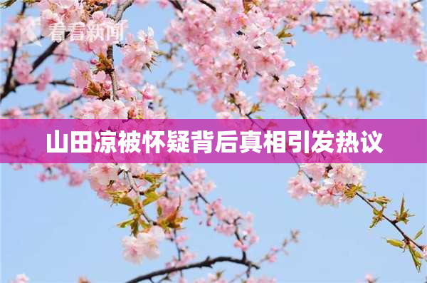 山田凉被怀疑背后真相引发热议