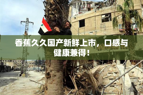 香蕉久久国产新鲜上市，口感与健康兼得！