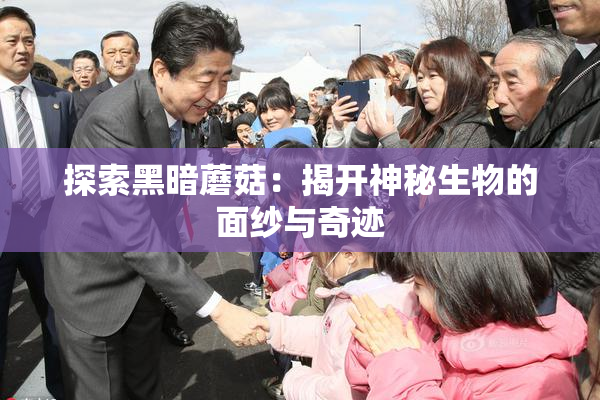 探索黑暗蘑菇：揭开神秘生物的面纱与奇迹