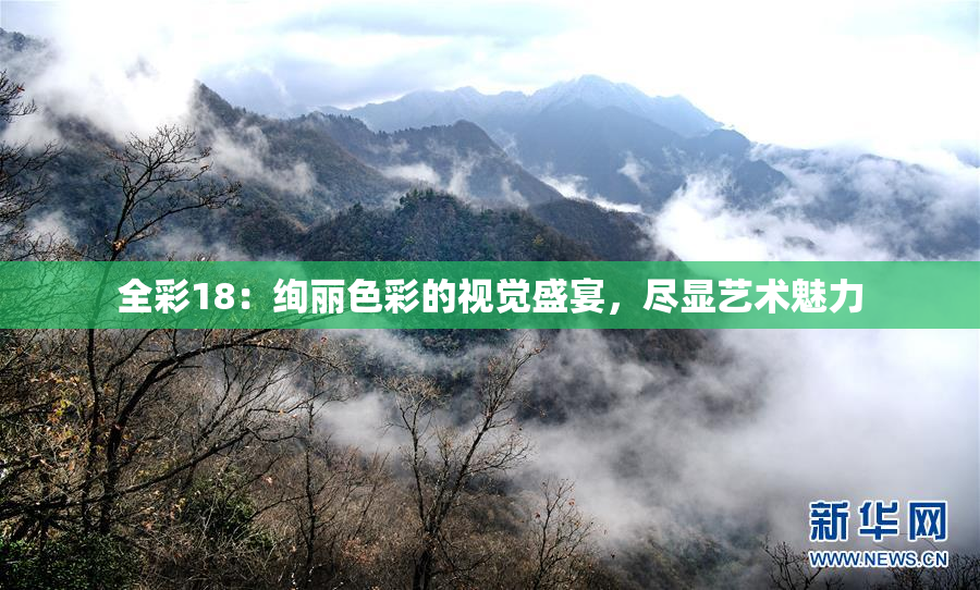 全彩18：绚丽色彩的视觉盛宴，尽显艺术魅力