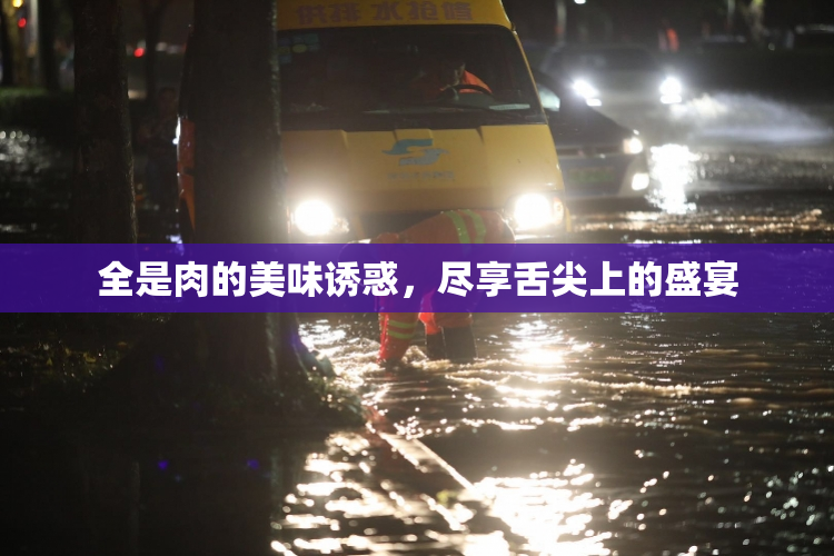全是肉的美味诱惑，尽享舌尖上的盛宴
