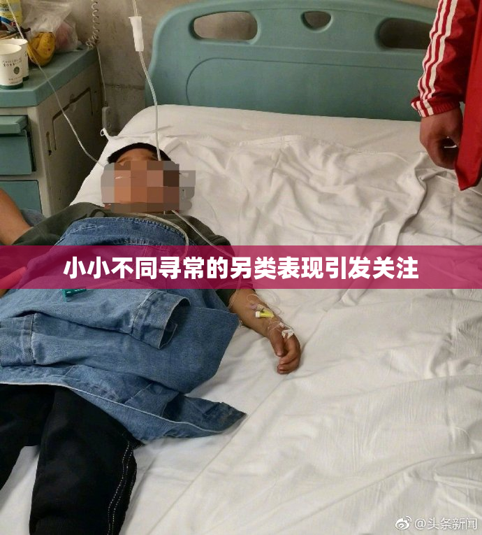 小小不同寻常的另类表现引发关注