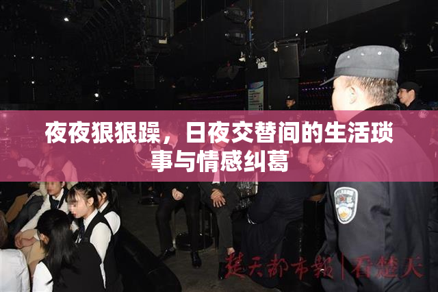夜夜狠狠躁，日夜交替间的生活琐事与情感纠葛