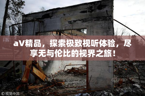 aV精品，探索极致视听体验，尽享无与伦比的视界之旅！