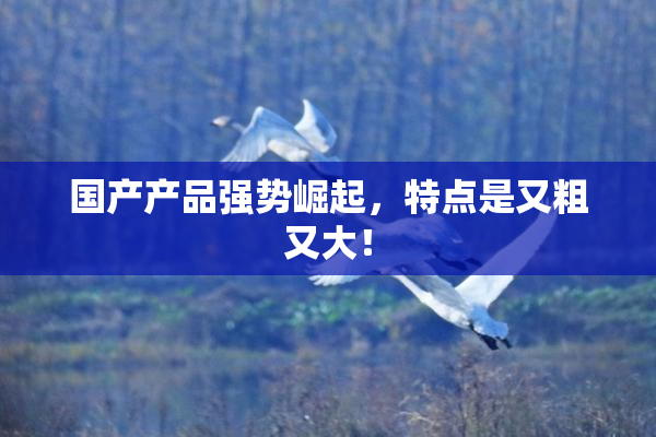 国产产品强势崛起，特点是又粗又大！