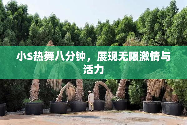 小S热舞八分钟，展现无限激情与活力