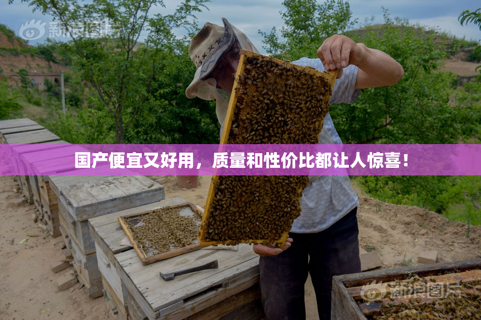 国产便宜又好用，质量和性价比都让人惊喜！