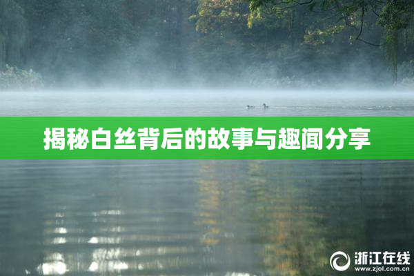 揭秘白丝背后的故事与趣闻分享
