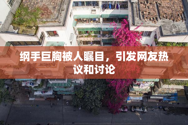 纲手巨胸被人瞩目，引发网友热议和讨论