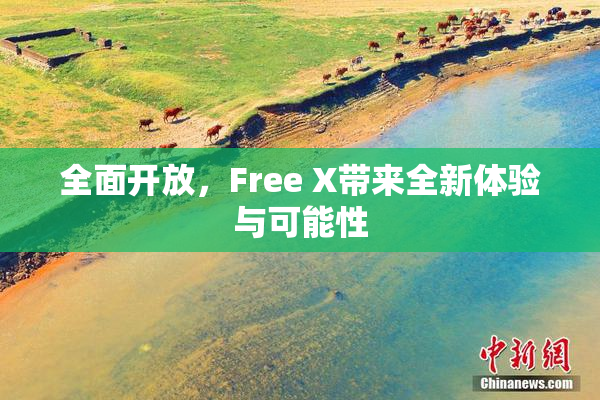全面开放，Free X带来全新体验与可能性