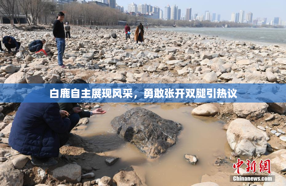 白鹿自主展现风采，勇敢张开双腿引热议