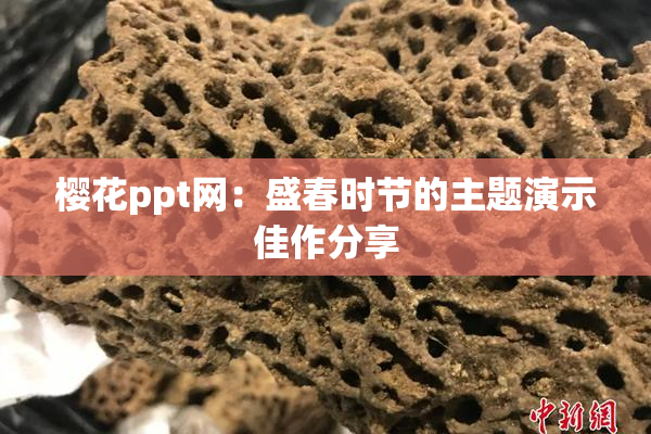 樱花ppt网：盛春时节的主题演示佳作分享