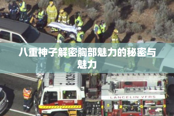 八重神子解密胸部魅力的秘密与魅力