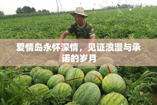 爱情岛永怀深情，见证浪漫与承诺的岁月