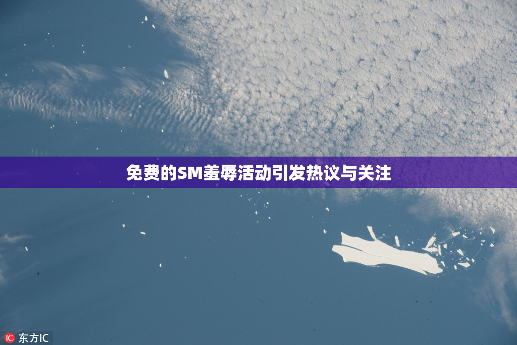 免费的SM羞辱活动引发热议与关注