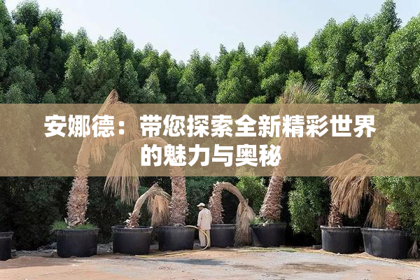 安娜德：带您探索全新精彩世界的魅力与奥秘
