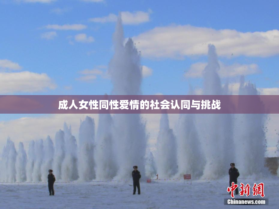 成人女性同性爱情的社会认同与挑战