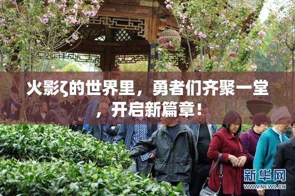 火影ζ的世界里，勇者们齐聚一堂，开启新篇章！
