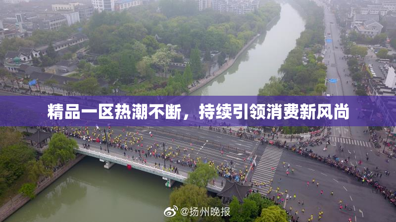 精品一区热潮不断，持续引领消费新风尚